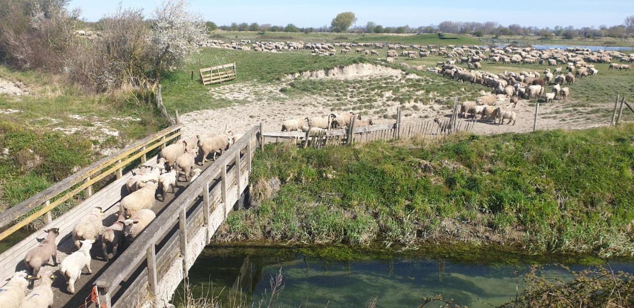 فيلا La Massette Favières المظهر الخارجي الصورة